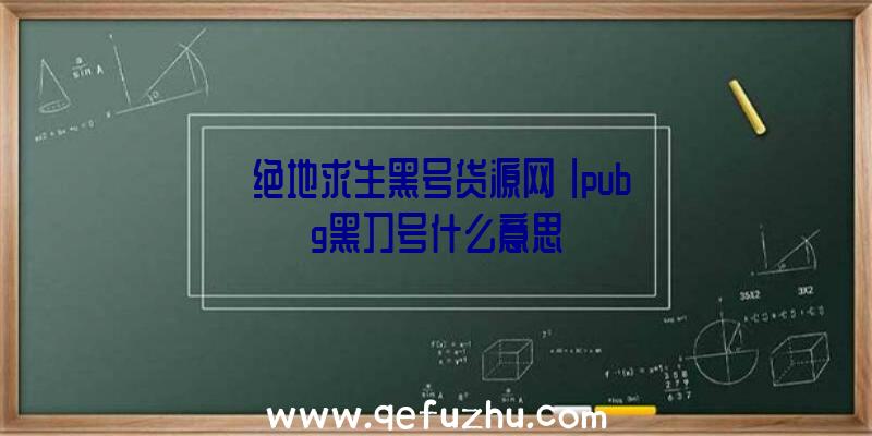 「绝地求生黑号货源网」|pubg黑刀号什么意思